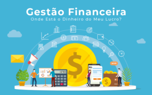 Gestao Financeira Onde Esta O Dinheiro Do Meu Lucro Blog Liz Assessoria Financeira - BPO Financeiro | Vibra Consultoria